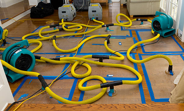 Professional Storm Water Damage Restoration technician working in Three Lakes, FL